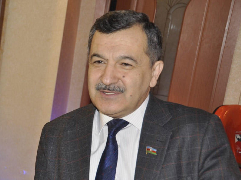 "Azərbaycan layiq olduğu qızıl medalı aldı"