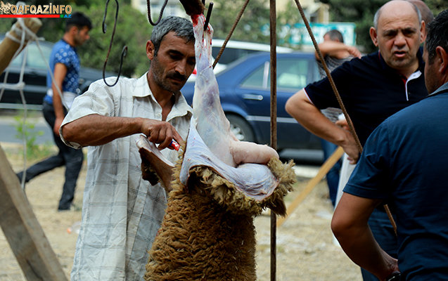 Bakıda Qurban bayramı həyəcanı FOTOLARDA