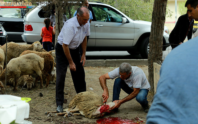 Bakıda Qurban bayramı həyəcanı FOTOLARDA