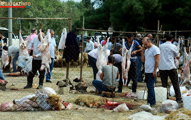 Bakıda Qurban bayramı həyəcanı FOTOLARDA