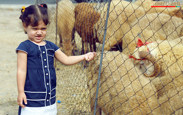 Bakıda Qurban bayramı həyəcanı FOTOLARDA