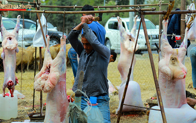 Bakıda Qurban bayramı həyəcanı FOTOLARDA