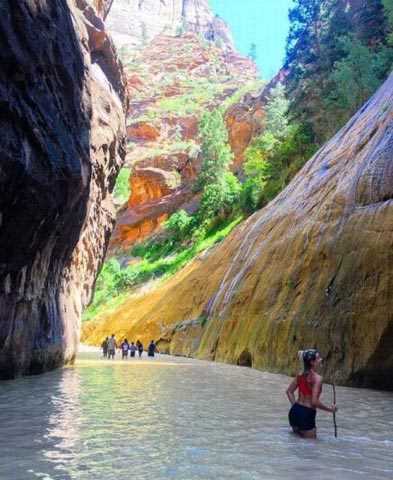 Sosial şəbəkədə ən çox izlənilən və bəyənilən FOTOLAR