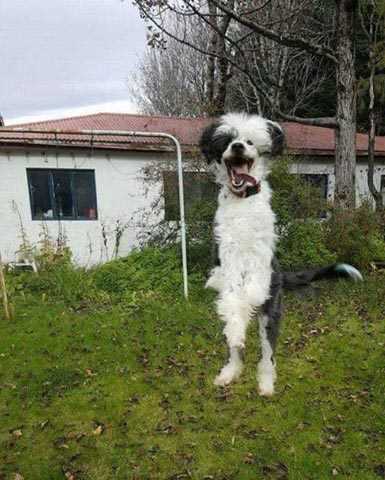 Sosial şəbəkədə ən çox izlənilən və bəyənilən FOTOLAR