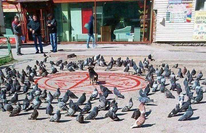 Sosial şəbəkədə ən çox izlənilən və bəyənilən FOTOLAR