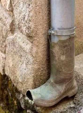 Sosial şəbəkədə ən çox izlənilən və bəyənilən FOTOLAR