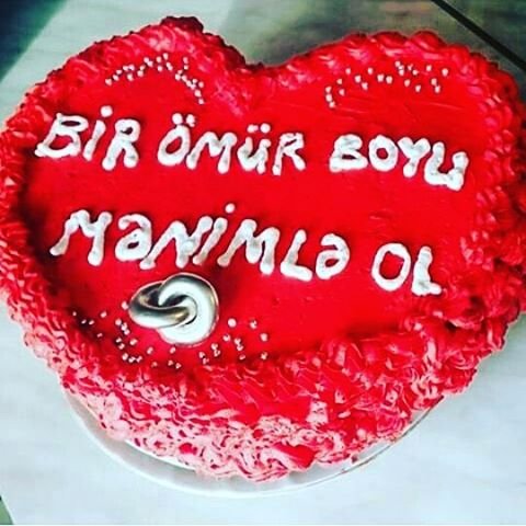 Estradamızın ən məşhurları