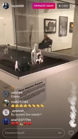 Leyla Əliyeva Instagram-da canlı yayım etdi (FOTO)