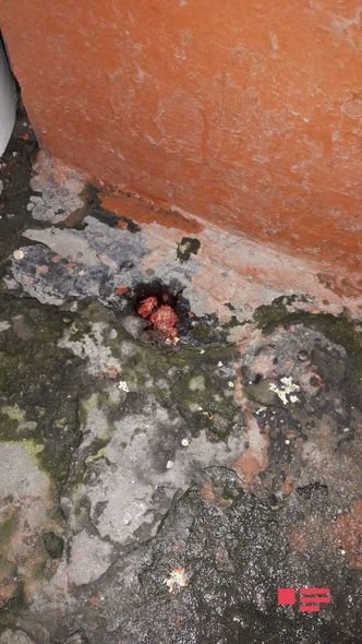 Bakıda 50 yaşlı qadının evinə BASQIN: Sevgilisi dostları ilə birləşib zorla... (+18 FOTOLAR)