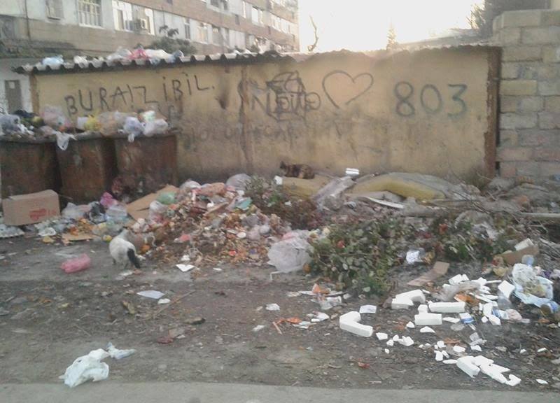 Göyçay rayon sakinlərindən ÜRƏKDAĞLAYAN şikayət məktubu - QALMAQAL