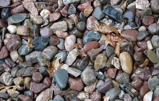 FOTODAKI heyvanı tapın - Hər kəsə asan gəlsə də çox az adam tapır