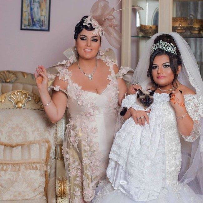 Elza bu xəbərlə SARSILDI: XƏRÇƏNG İMİŞ... - FOTOLAR