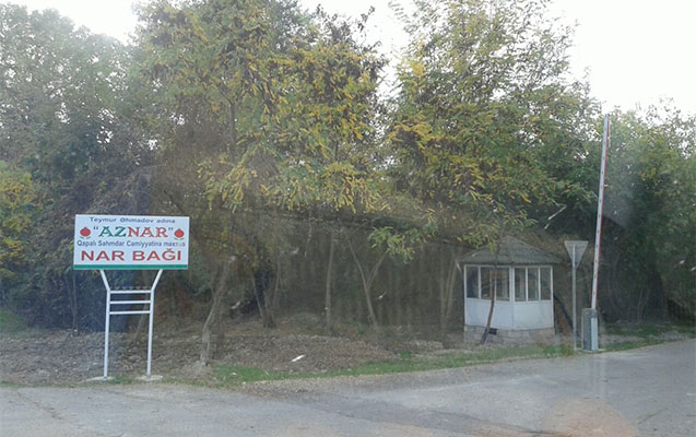 Ziya Məmmədovun villası əlindən alınıb - Fotolar