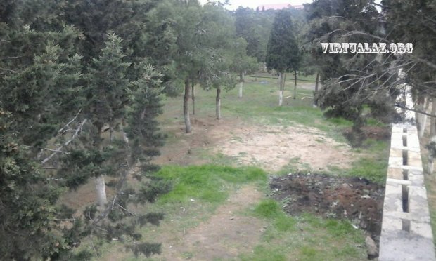 Abutalıbovun hasarlatdığı 2 hektarlıq meşəyə görə materiallar prokurorluğa göndərildi