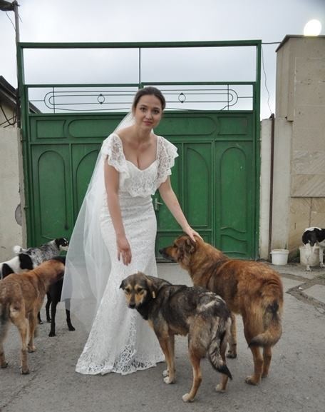 Bakıda gəlin toy günü küçə itləri ilə fotosessiya etdirdi - FOTOLAR