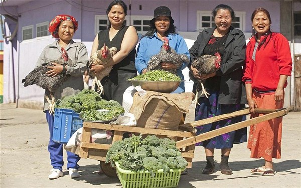 39 arvadı, 94 uşağı, 14 gəlini və 33 nəvəsi ilə dördmərtəbəli binada yaşayır - FOTOLAR