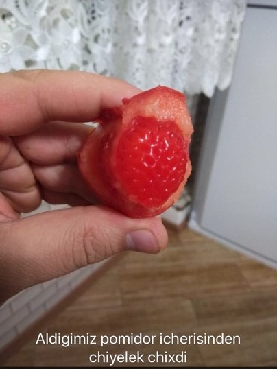 Bakıda marketdən aldığı pomidorun içindən görün nə çıxdı - FOTOLAR