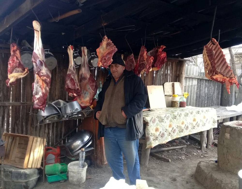 Qanunsuz satılan at əti aşkarlandı