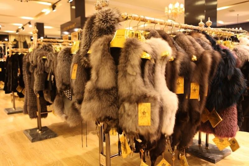 Avropa brendləri adı altında Çin “şubaları” – “Femina”nın malları haradan idxal edilir?