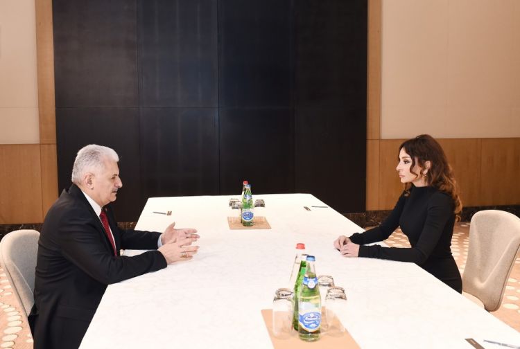 Mehriban Əliyeva Türkiyə baş naziri və İtaliya Senatının vitse-prezidenti ilə görüşdü