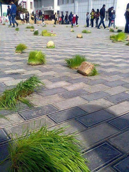 Novruzdan sonra Bakı küçələri görün nə günə qaldı - FOTO