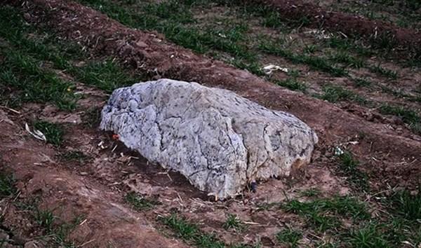 Nə olduğu açıqlanınca hər kəs dəhşətə gəldi - FOTO