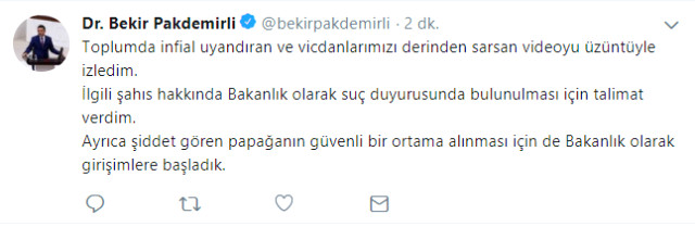Nazir aşpazdan şikayətçi oldu: Tutuquşuna işğəncə verdiyinə görə