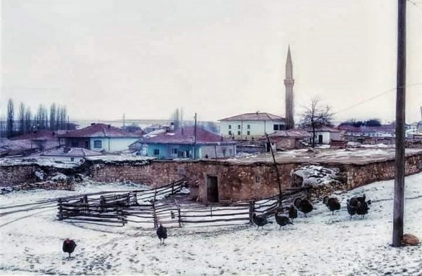 9 küçə iti yaşlı qadını parçaladı – FOTOLAR