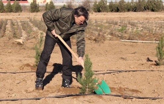 Hüseynqulu Bağırovun Bakıdakı otelləri və digər əməlləri