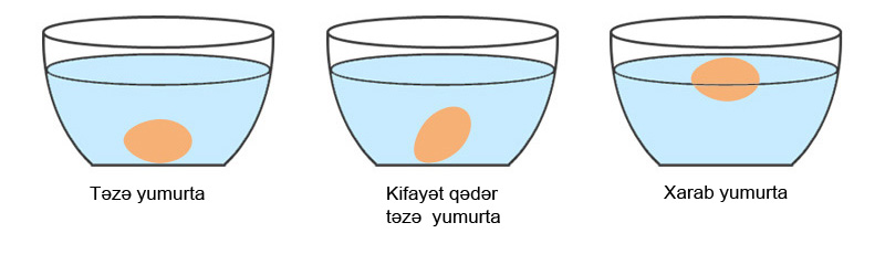 Yumurtanı soyuducuda bu şəkildə saxlayın