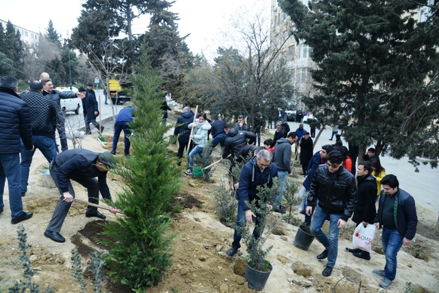 Nəsimi rayonunda iməcilik keçirildi - FOTO