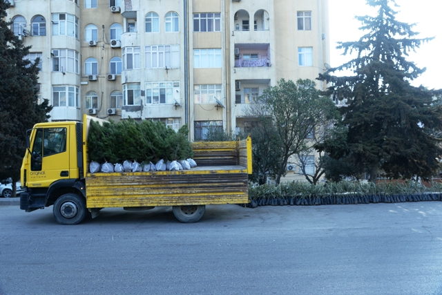 Nəsimi rayonunda iməcilik keçirildi - FOTO