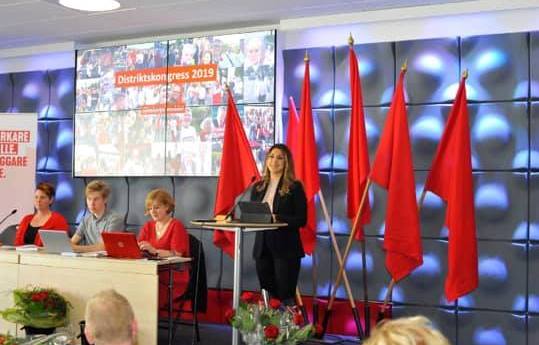 İsveç parlamentinin Azərbaycan əsilli deputatına vəzifə verildi