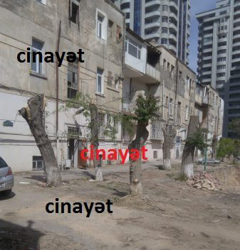 “YASAM RESİDENCE” 70 AĞACI BİRDƏN KƏSİB, ETSN RƏSMİSİ İSƏ HƏDƏ QORXU GƏLİR – FOTOLAR