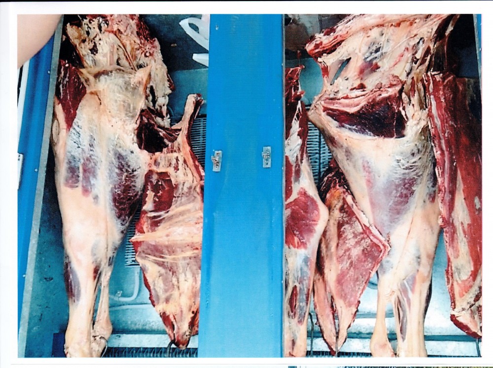 Gül mağazasında mənşəyi bilinməyən 100 kilo ət aşkar edildi
