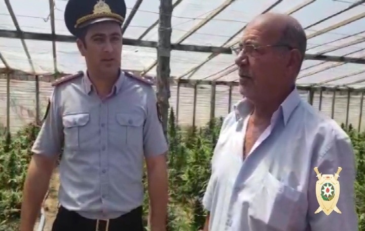 Maştağalı narkotacir 1 tona yaxın narkotiklə tutuldu - FOTO