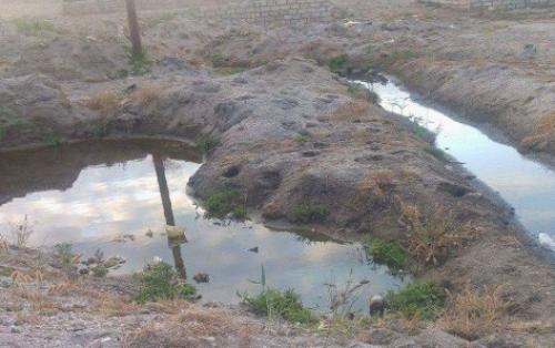 Kanalizasiya birbaşa çimərliyə axıdılır