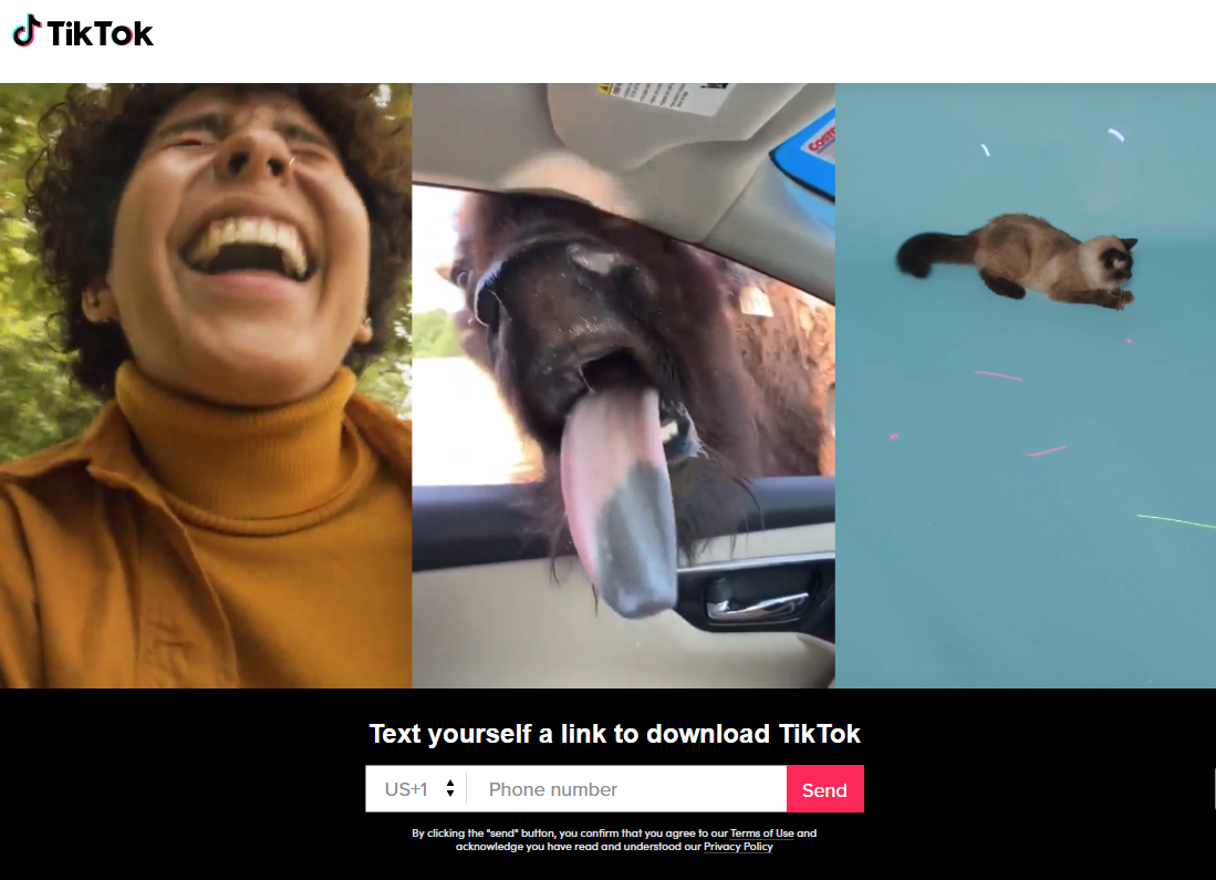 "TikTok"da ciddi boşluq - İstifadəçilərə XƏBƏRDARLIQ edildi - FOTO