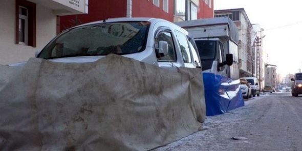 Maşınları soyuqdan qorumaq üçün maraqlı üsullar - FOTO
