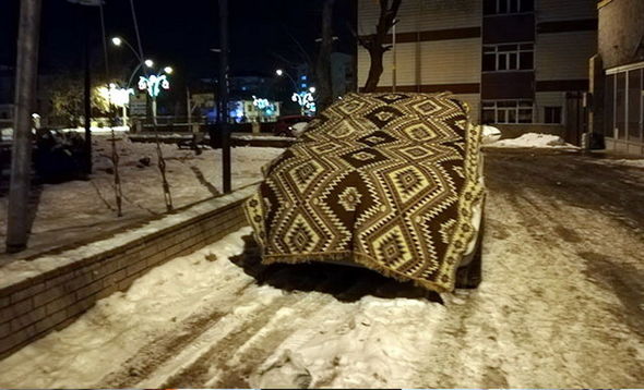 Maşınları soyuqdan qorumaq üçün maraqlı üsullar - FOTO