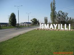 İsmayıllının icra başçısı əkin yerlərində gedən işləri xüsusi nəzarətinə aldı