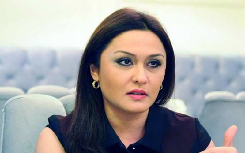 “Gənclər Təşkilatları əvvəl daha aktiv idi, indi isə...” – Bu sahədə hansı islahatlara ehtiyac var?