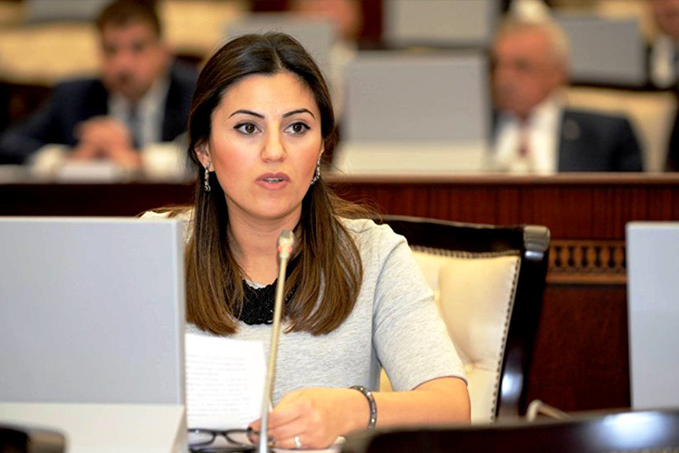 “İndi Minsk Qrupu Ermənistana təzyiq göstərməlidir”- Deputat təşkilatı nəticə çıxarmağa səslədi