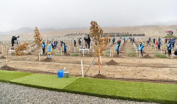 Ərdoğanın təşəbbüsü ilə Abşeronda ağac əkildi - FOTO