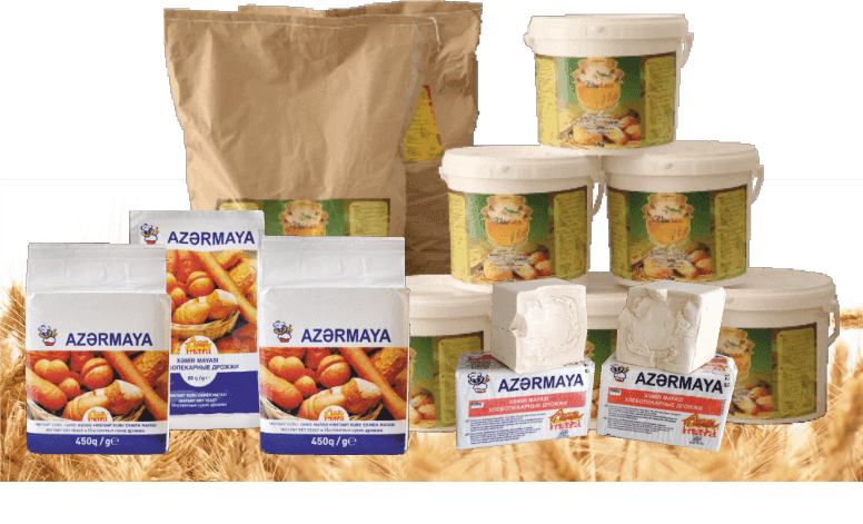 “Azərmaya” bu dəfə Kəlbəcərdə - FOTO