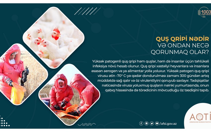 Quş qripi nədir və ondan necə qorunmaq olar?