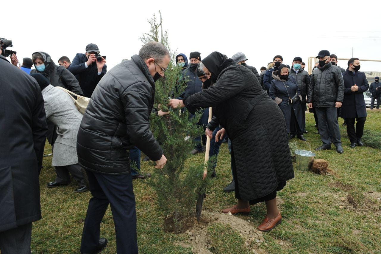 Zəfərimizin 100-cü günü münasibəti ilə ağacəkmə aksiyası keçirildi - FOTOLAR