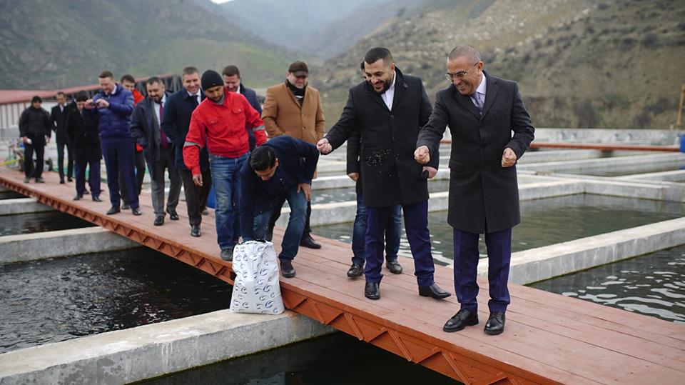 Alimpaşa Məmmədovun oğluna yaratdığı BIZNES ŞƏBƏKƏSI...