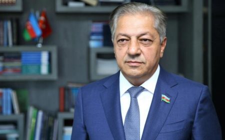 Avropa Parlamentinin “sülh göyərçinləri”
