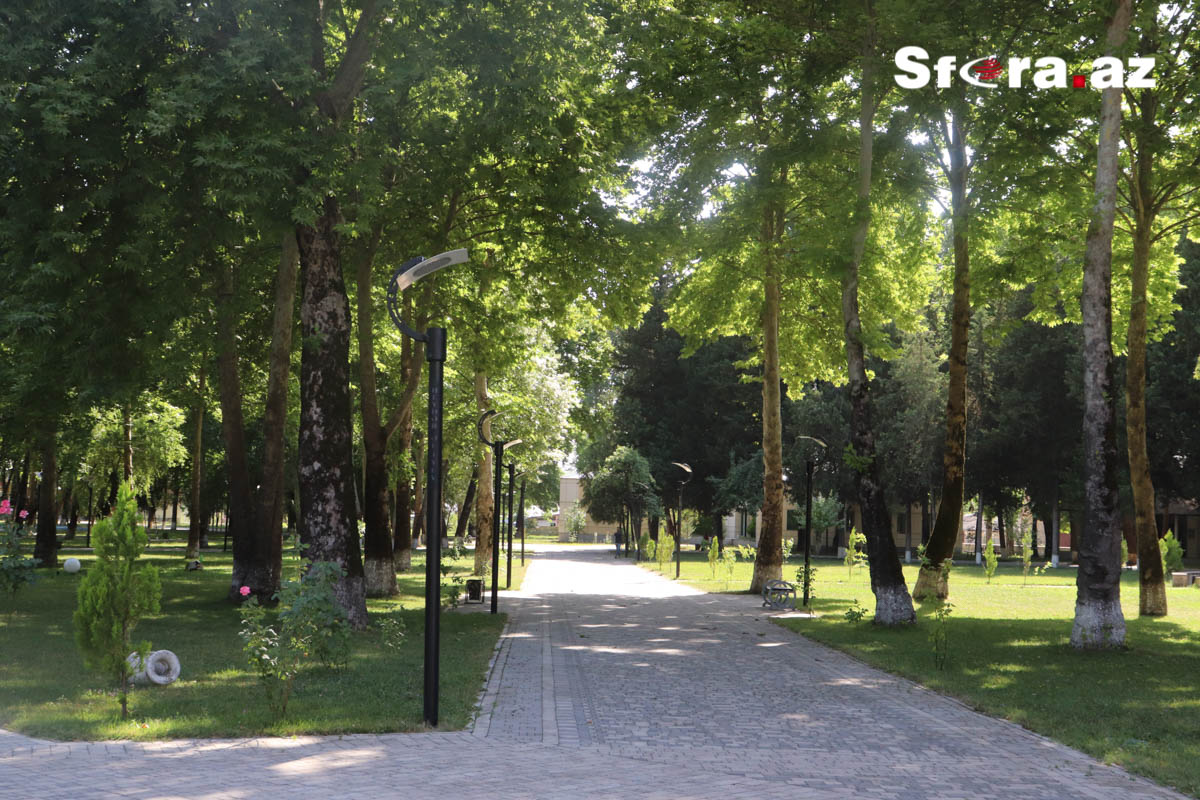Azərbaycanın turizm cənnətində gördüklərimiz – İstirahət üçün niyə məhz İsmayıllını seçməliyik? - FOTOLAR